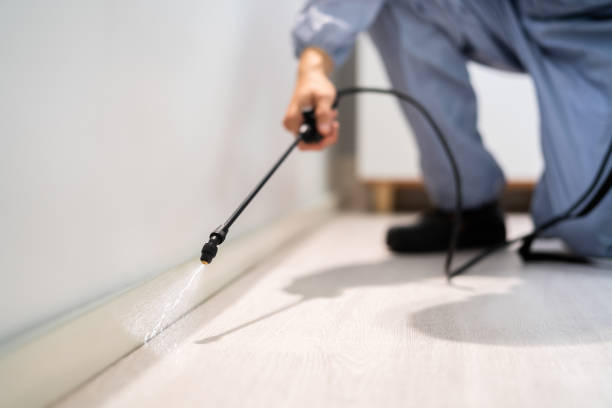 Licensed Pest Control service in Lufkin, TX - Show Me Pest Control